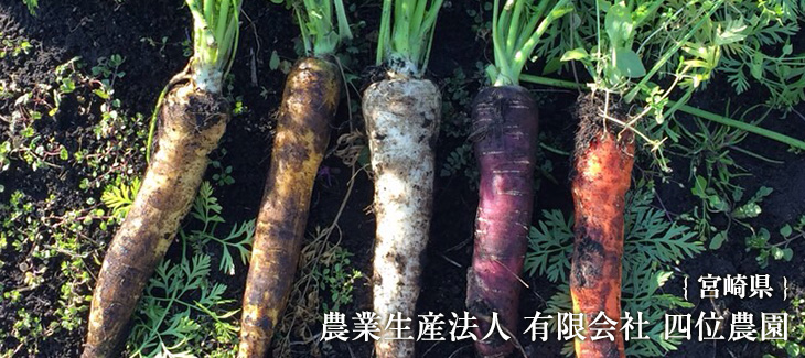 宮崎県にある農業生産法人 有限会社 四位農園さん
